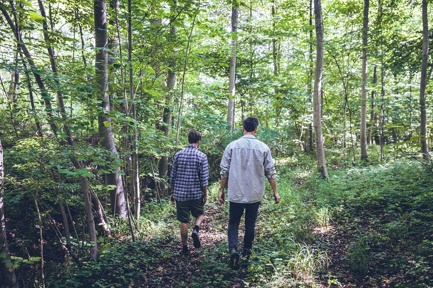 men walking in nature